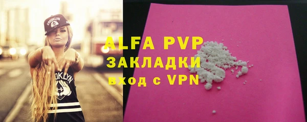 индика Киренск