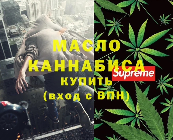 индика Киренск