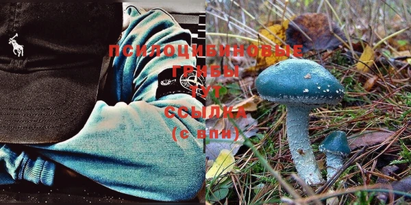 индика Киренск
