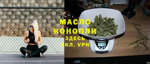 индика Киренск
