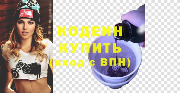 индика Киренск